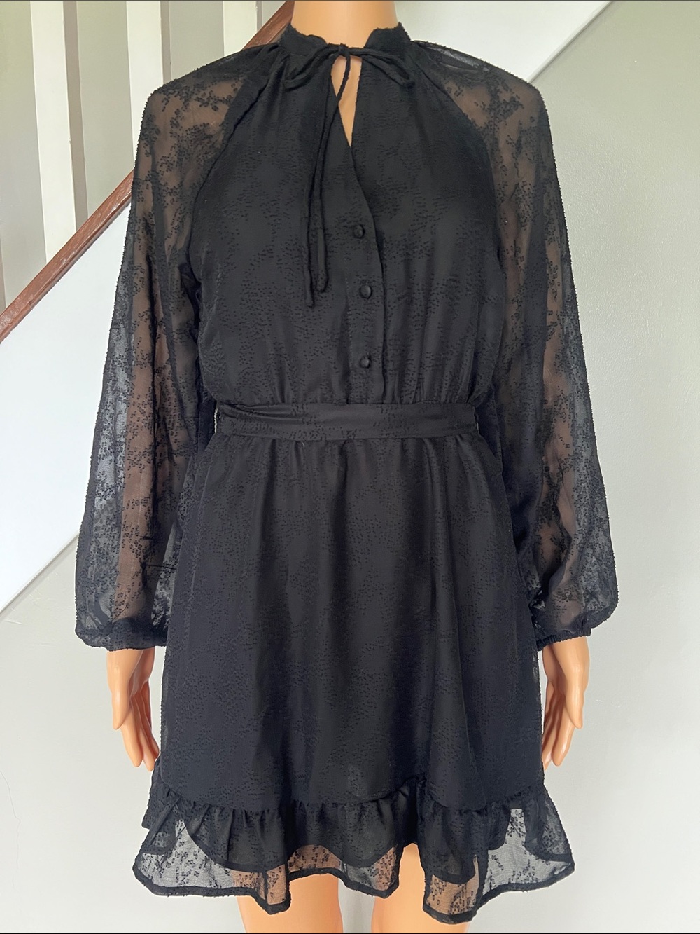 Women's Black Sheer Long-Sleeve Ruffle Dress